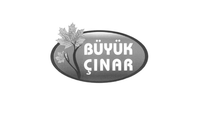 Büyük Çınar Parke Laminat