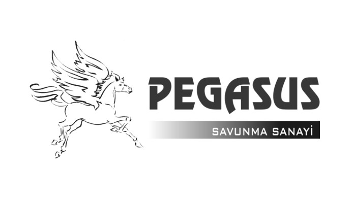 Pegasus Savunma Sanayi