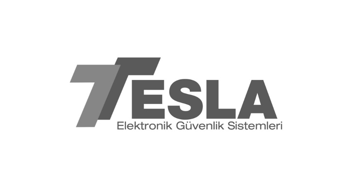 Tesla EGS